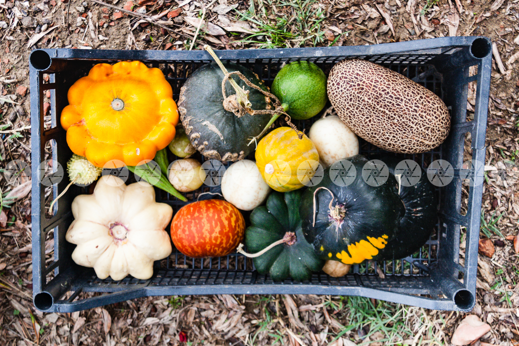 Biodiversità: perché un territorio vivo si racconta meglio
