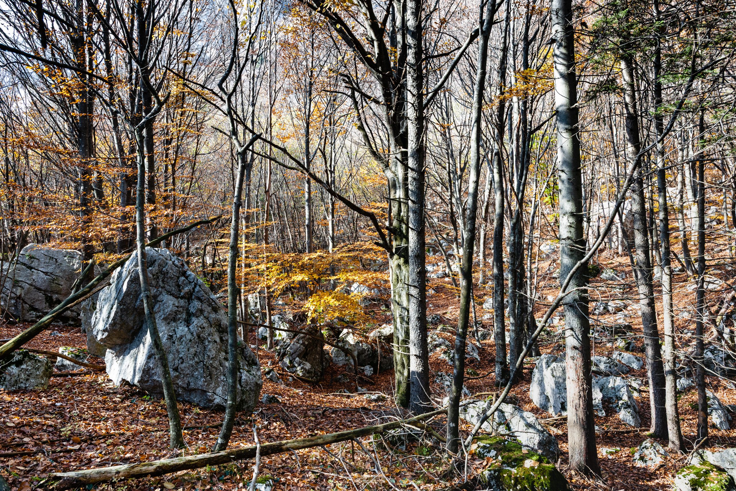 Aree protette: il “bollino di qualità” naturale che definisce i tuoi prezzi e i tuoi ospiti